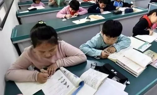 中小學(xué)課后服務(wù)全面鋪開，教育咨詢助力家長(zhǎng)滿意度提升